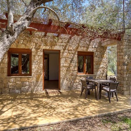 Ferienwohnung Stonehouse in Olives Ulcinj Exterior foto