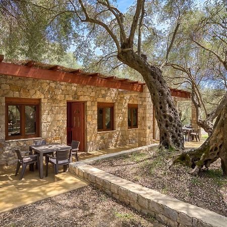 Ferienwohnung Stonehouse in Olives Ulcinj Exterior foto