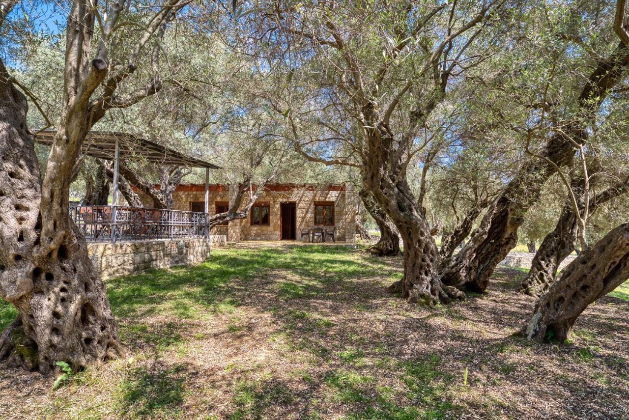 Ferienwohnung Stonehouse in Olives Ulcinj Exterior foto
