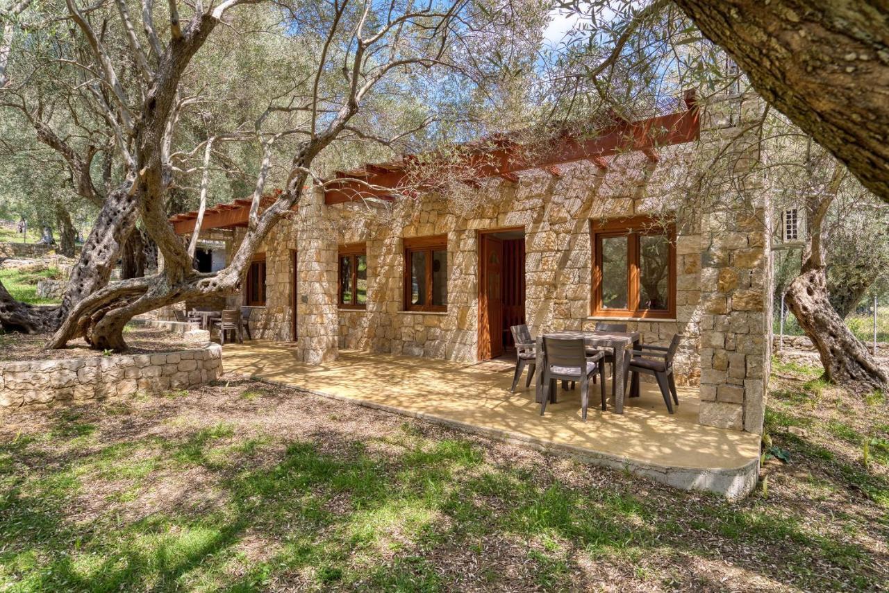 Ferienwohnung Stonehouse in Olives Ulcinj Exterior foto