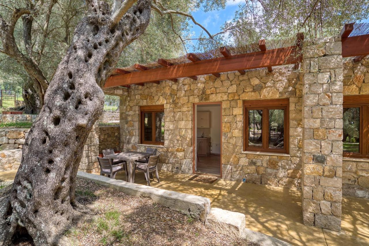 Ferienwohnung Stonehouse in Olives Ulcinj Exterior foto