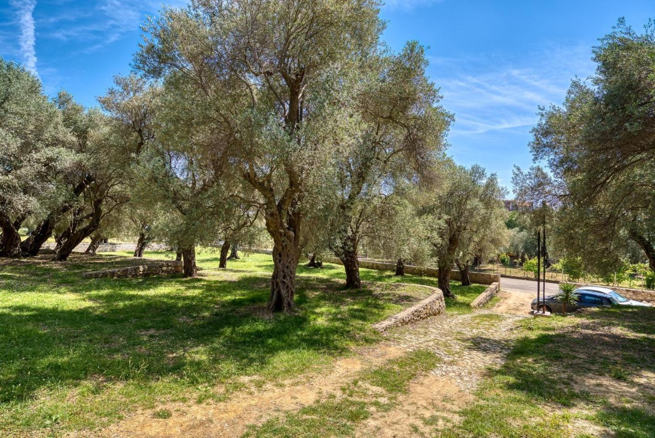 Ferienwohnung Stonehouse in Olives Ulcinj Exterior foto