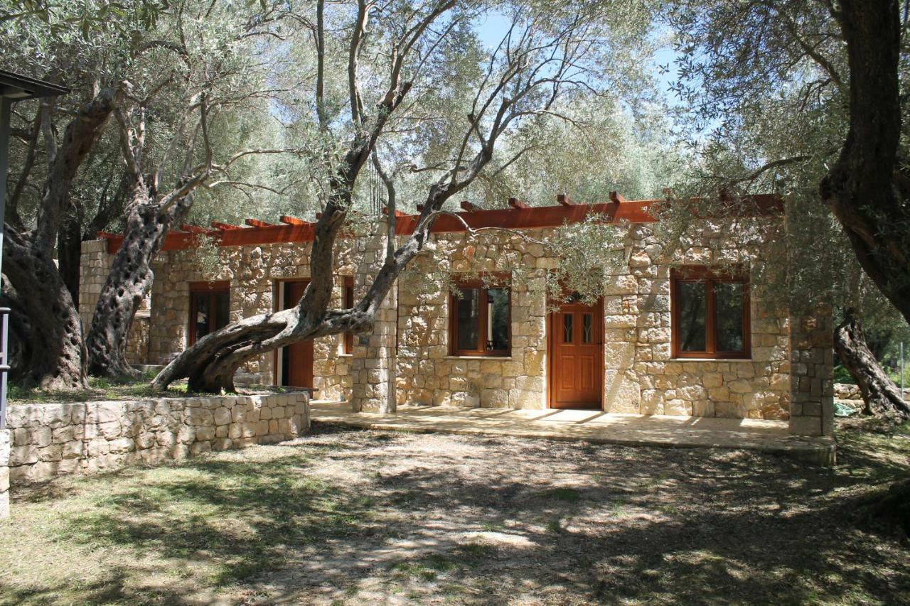 Ferienwohnung Stonehouse in Olives Ulcinj Exterior foto